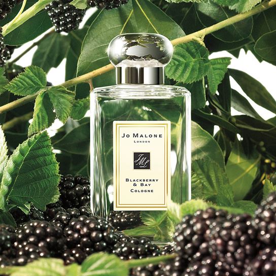 ٻҾ1 ͧԹ : ****Jo Malone London Blackberry & Bay Cologne 100 ml. ŭ ʴ蹢ͧ蹼 ҡԹҡ硡Ѻǧҷ㹷觡ҧ纼 ѧ֡ ǹ Ӣͧ ҡѺ