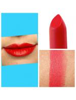 MAC Retro Matte Lipstick #Dangerous Ի㹤Ťش» 2013  ش ءⷹ㹤Ť蹹