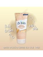St.Ives Gentle SmoothingOatmeal Scrub + Mask 170 g. (New Look) ʤѺ+˹Ѻͼ¹ ͤʤѺǹͧ´ Ƿ駡ҹ蹢 ѧǷ¹º٢