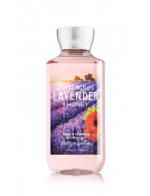 ****Bath & Body Works French Lavender & Honey Shea & Vitamin E Shower Gel 295ml. ҺӡԴ¹ҹʹѹ ͧ͡ǹ Ѻ͡ musk Źŧ