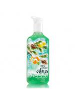 ****Bath & Body Works Snow-Kissed Citrus Deep Cleansing Hand Soap 236 ml. ҧͦä Ѻ ʤѺ¢ѴҴ觢 աԴҹ ⷹйҹ ͹йǤ