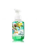 ****Bath & Body Works Snow-Kissed Citrus Gentle Foaming Hand Soap 259 ml. ҧ ͹¹ͼǺاǹ駵֧ѧ ⷹйҹ ͹йǤ