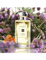 Jo Malone London Amber & Lavender Cologne 100 ml. ŭ СŤʹԤѺҾ ´ з͹ͺѹʹԤ ǡѺʹѹṺ͹¹ ¡ûا¼ҹͧ French lavender 
