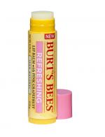 BURT'S BEES Refreshing Lip Balm with Pink Grapefruit ขนาด 0.15 oz. ลิปบาล์มจากน้ำมันสกัดจากเมล็ดของผลเกรปฟรุต หอมสดชื่นจากผลไม้รสเปรี้ยว ที่อุดมไปด้วยวิตามินซีและอี ช่วยปลอบประโลมริมฝีปากจากความแห้งแตก อักเสบให้ชุ่มชื่น สดชื่นอีกครั้ง BURT'S BEES Refreshing Lip Balm with Pink Grapefruit ขนาด 0.15 oz. ลิปบาล์มจากน้ำมันสกัดจากเมล็ดของผลเกรปฟรุต หอมสดชื่นจากผลไม้รสเปรี้ยว ที่อุดมไปด้วยวิตามินซีและอี ช่วยปลอบประโลมริมฝีปากจากความแห้งแตก อักเสบให้ชุ่มชื่น สดชื่นอีกครั้ง