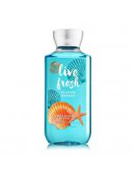 ****Bath & Body Works Live Fresh Shea & Vitamin E Shower Gel 295ml. ҺӡԴ¹ҹʹѹ ʴ蹴ѺҡȺطҡͧ عͧо